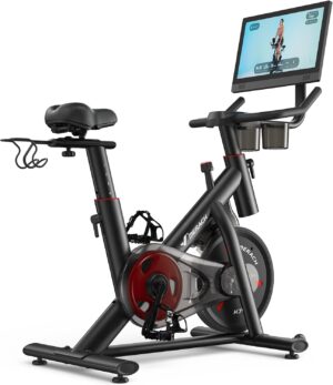 MERACH Exercise Bike, Magnetic Fric...