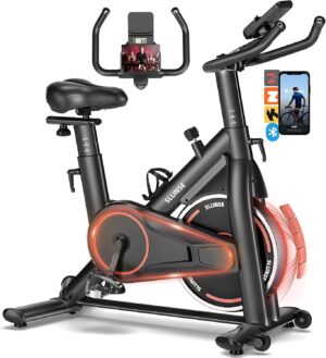 Exercise Bike, Adjustable Magnetic ...