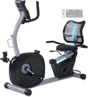 Recumbent Exercise Bike for Seniors...