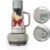 Ninja BlendBOSS Personal Blender, 26oz Tumbler, 1200PW, Stone Mint, DB351ST